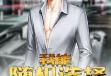 刘彬白柳小说在哪里可以看-读书翁