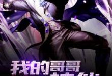 《我的哥哥是神仙》小说章节列表免费试读,方波赵月国小依小说在线阅读-读书翁