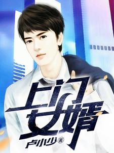 上门女婿小说最新更新在哪里？免费在线看