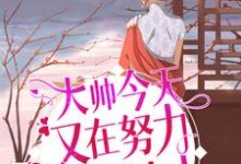 大帅今天又在努力讨好夫人最新章节，大帅今天又在努力讨好夫人免费阅读-读书翁