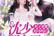 免费看扒了老婆的马甲后,沈少翻车了小说的网站有哪些?-读书翁