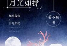 繁星似你,月光如我小说的所有章节都能在哪里免费读到?-读书翁