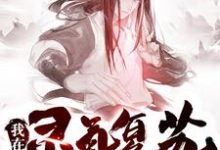 我在灵气复苏当掌门小说,我在灵气复苏当掌门在线阅读-读书翁