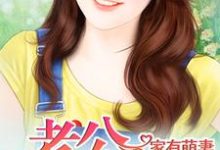 家有萌妻小说的免费电子版在哪里可以下载或阅读?-读书翁