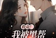 已完结小说《救命!我被黑帮大佬盯上了》在线章节阅读-读书翁