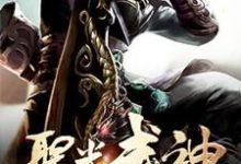 免费看圣光武神小说的网站有哪些?-读书翁