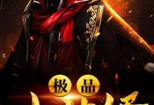 《极品小神婿》小说主角叶天陈雅丽章节章节免费在线阅读-读书翁