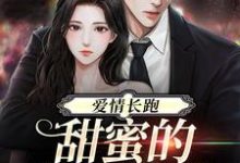 爱情长跑：甜蜜的婚后日常小说无弹窗阅读的网站推荐-读书翁