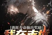 消耗寿命抽出奖励,我在末世无敌了小说免费资源,消耗寿命抽出奖励,我在末世无敌了在线阅读-读书翁