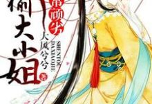 妃常顽劣:神偷大小姐郁丹青孤光启阮芷段沉渊小说免费阅读-读书翁