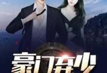 豪门弃少苏晨孙小檀,豪门弃少章节在线阅读-读书翁