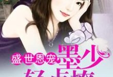 哪里可以免费读到沈嫣墨北辰唐泽徐辉的完整故事?寻找盛世恩宠:墨少轻点撩-读书翁