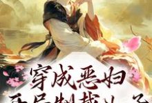 小说《穿成恶妇,开局制裁儿子》在线章节阅读-读书翁