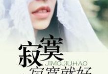 何晓初杜明凯为主角的小说好看吗?求寂寞寂寞就好免费试读-读书翁