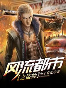 《风流都市之盗帅》全集免费在线阅读（魏羡林清雨叶北辰丁灵）