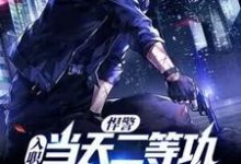 悍警:入职当天二等功,你管这叫实习生?小说,悍警:入职当天二等功,你管这叫实习生?在线阅读-读书翁