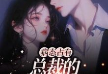 病态占有:总裁的私有宝贝云渺陆聿骁小说在线章节免费阅读-读书翁