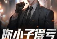 你小子得亏娶了警花安逸秦柔在线章节免费阅读-读书翁