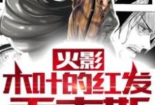 小说《火影:木叶的红发香克斯》章节阅读-读书翁