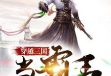 沈龙黄巾吕布马超为主角的小说好看吗？求穿越三国当霸王免费试读-读书翁