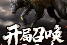 哪里可以免费读到张扬的完整故事？寻找开局召唤一只二哈-读书翁