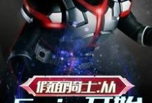 假面骑士：从Faiz开始小说，假面骑士：从Faiz开始在线阅读-读书翁