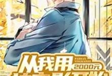 《从我用2000元拍电影开始》小说章节在线试读,《从我用2000元拍电影开始》最新章节目录-读书翁