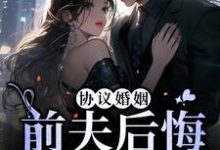 协议婚姻:前夫后悔放我走主角 沈识微萧寒声小说完结版章节在线阅读-读书翁