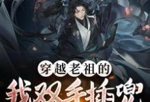 穿越老祖的我双手插兜，没有对手这本小说在哪里可以看？哪里有免费试读章节？-读书翁