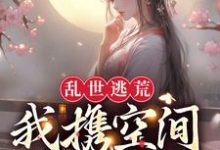 乱世逃荒：我携空间吃香喝辣小说的无弹窗阅读体验，寻找免费阅读网站-读书翁