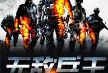 求推荐可以免费阅读无敌兵王小说的网站-读书翁