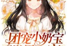 团宠小奶宝是世界首富(夏沅沅墨尧宁熙宁楚遇)在线免费阅读-读书翁