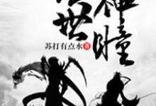 绝世神瞳小说,绝世神瞳章节在线阅读-读书翁