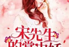 宋先生的掌中娇小说全文哪里可以免费看?-读书翁