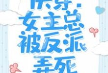 《快穿:女主总被反派弄死》小说大结局免费试读 夏至尚誉小说-读书翁