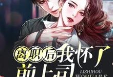 主角卫颜冷夜霆小说完结版在线阅读,离职后我怀了前上司的孩子免费看-读书翁