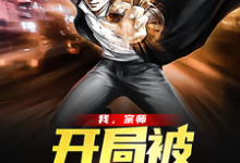 《我,宗师,开局被直播曝光》全集免费在线阅读(叶尘朵朵)-读书翁