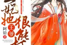 王爷，王妃她很能打小说有没有完结版在线？-读书翁