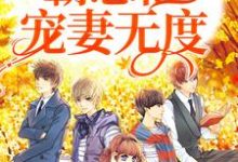 免费看一见钟情:霸总他宠妻无度小说的网站有哪些?-读书翁