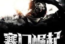 顾青苏小小为主角的小说寒门崛起在线阅读-读书翁