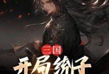 三国：开局统子向我投靠小说全文哪里可以免费看？-读书翁