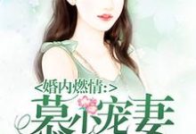 完结版《慕少宠妻甜蜜蜜》章节目录在线阅读-读书翁