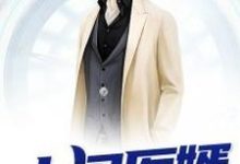 上门医婿小说阅读，上门医婿完结版-读书翁