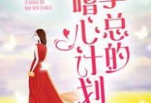 《娇妻别跑：季总的嗜心计划》全集免费在线阅读（程晚季霆深）-读书翁