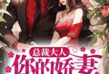 总裁大人,你的娇妻已跑路叶展眉言止安若瑜南瑾,总裁大人,你的娇妻已跑路最新章节-读书翁