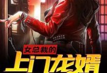 女总裁的上门龙婿小说,女总裁的上门龙婿楚柯陈梦妍-读书翁