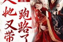 甜宠:夫人她又带崽跑路了这本小说怎么样?免费在线阅读试试-读书翁