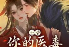 王爷,你的医毒王妃嫁到主角凌枫蝶萧南炎小说完结版章节在线阅读-读书翁