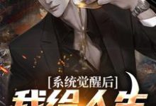 陈峰为主角的小说系统觉醒后,我给人生开了个挂在线阅读-读书翁