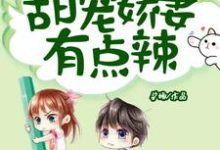 重生八零：甜宠娇妻有点辣小说阅读，重生八零：甜宠娇妻有点辣完结版-读书翁